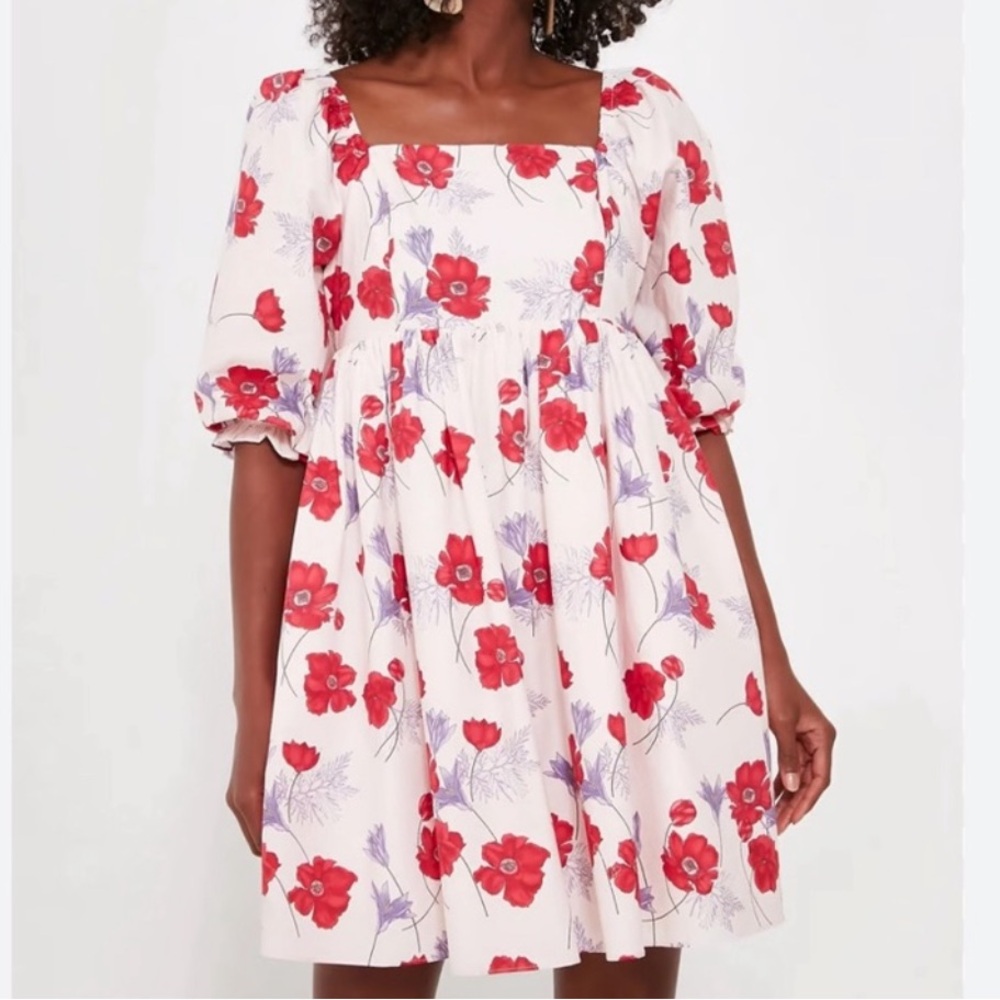⭐️NWT Tuckernuck Hyacinth House Pink Floral Dress Veronica ⭐️